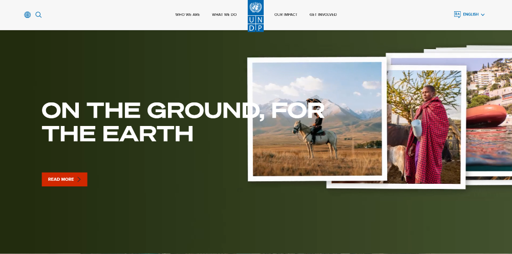 UN Development Programme (UNDP)