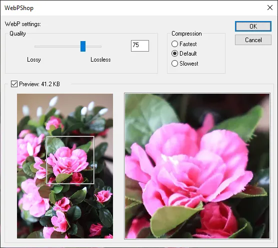 Select Quality of WebP on PhotoShop