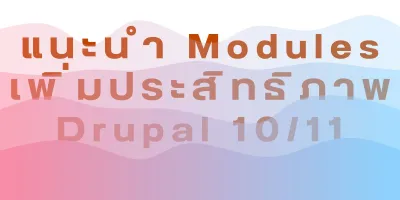 แนะนำ Modules เพิ่มประสิทธิภาพใน Drupal 10/11